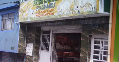 FRIGO CARNES GUACAMAYAS FRIGO CARNES GUACAMAYAS